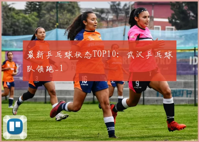 最新乒乓球状态TOP10：武汉乒乓球队领跑_1