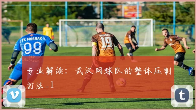 专业解读：武汉网球队的整体压制打法_1