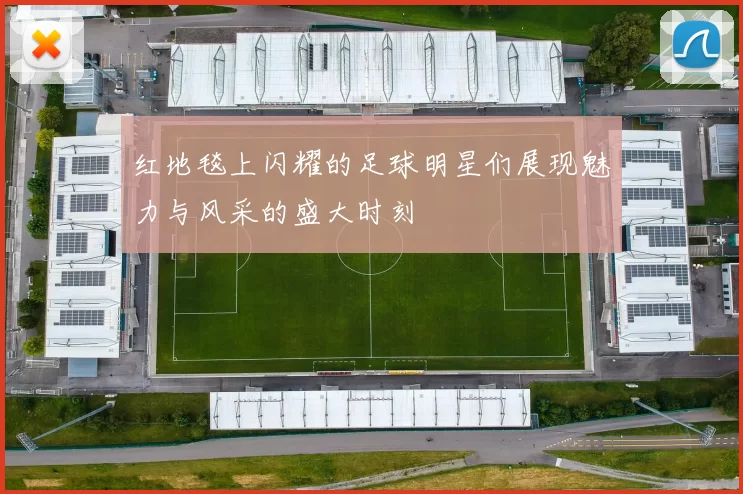 红地毯上闪耀的足球明星们展现魅力与风采的盛大时刻