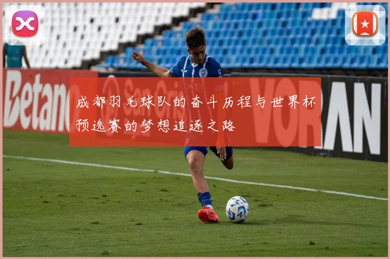 成都羽毛球队的奋斗历程与世界杯预选赛的梦想追逐之路