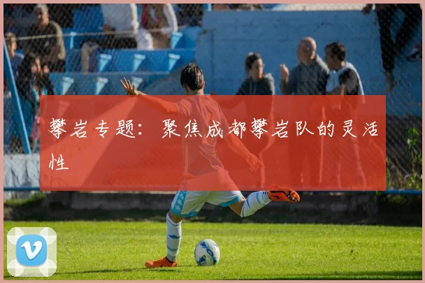 攀岩专题：聚焦成都攀岩队的灵活性